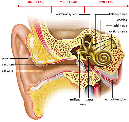 What causes a crackling noise in the ears when swallowing 